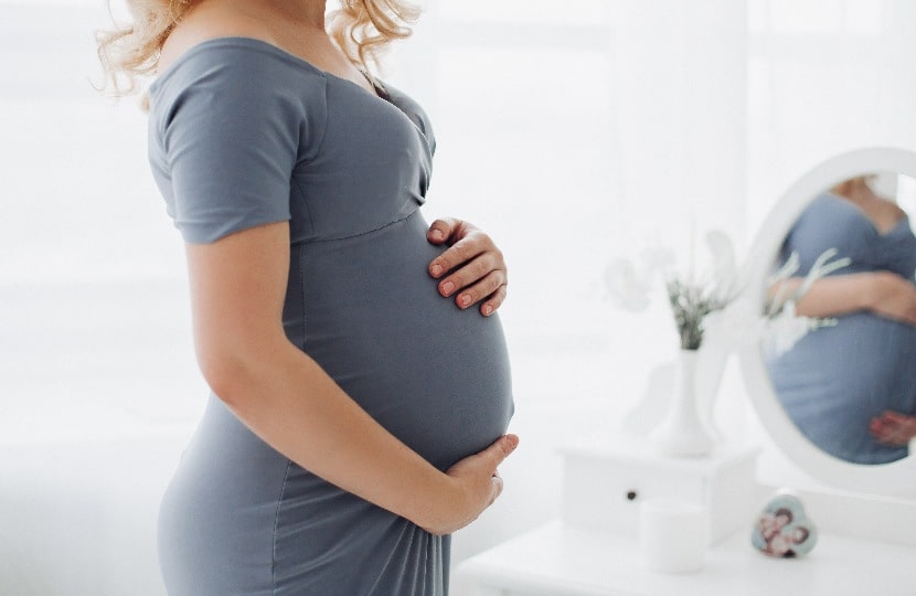 Governo Federal sanciona lei que permite a volta de grávidas ao trabalho presencial