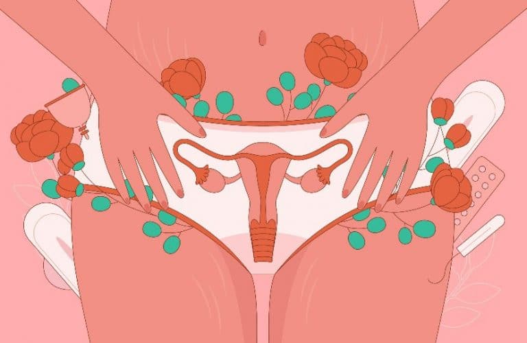 desenho do útero da mulher